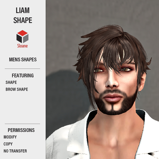 Sloane . Shapes . Liam . Demo