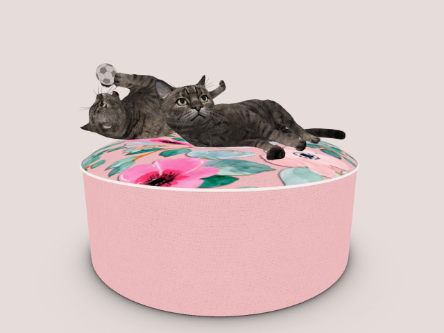 Pillow with playing cat
