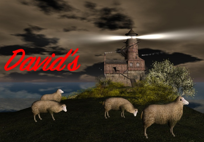 Stormy Night