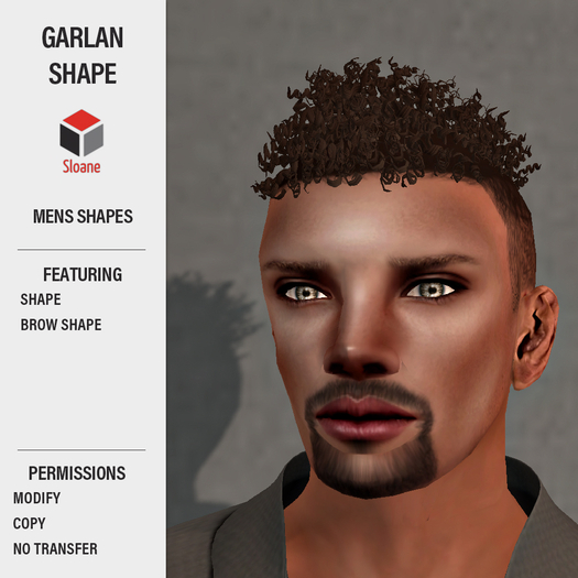 Sloane . Shapes . Garlan . Demo