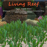 Inochi Reef : Algae "Paddle Weed"