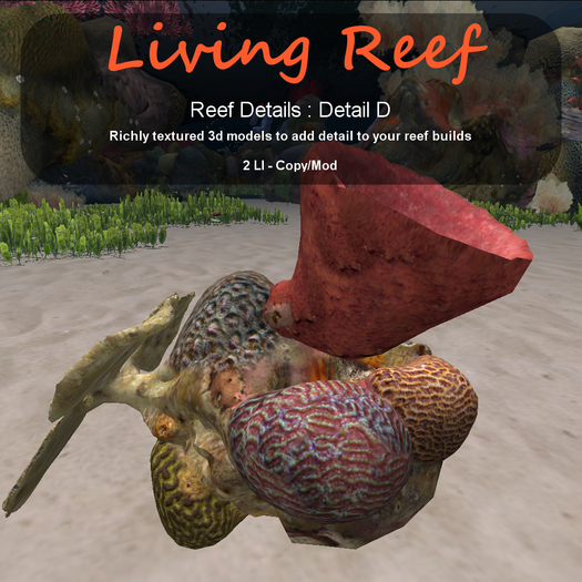 Inochi Reef - Detail D
