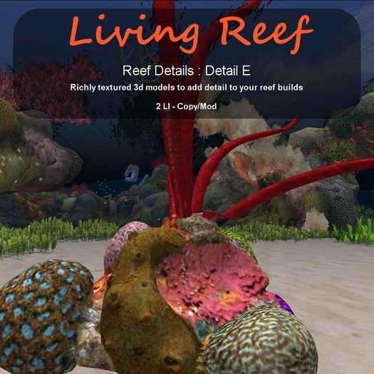 Inochi Reef - Detail E