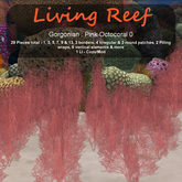 Inochi Reef : Gorgonians - Pink Octocoral 0