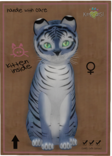 KittyCatS Box - Tiger! - Dusky Winkle