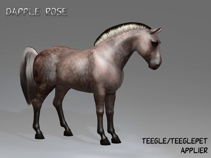 PROMO ! ME_Teegle applier Dapple Rose