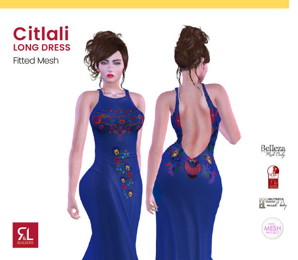 Citlali Long Dress (Blue)