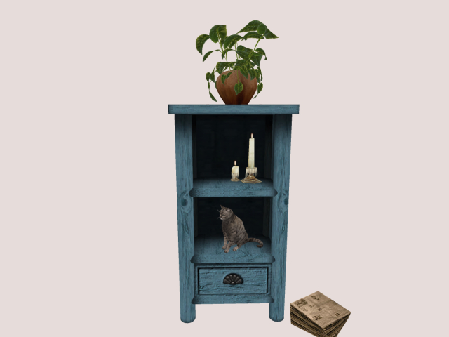 cabinet with Cat