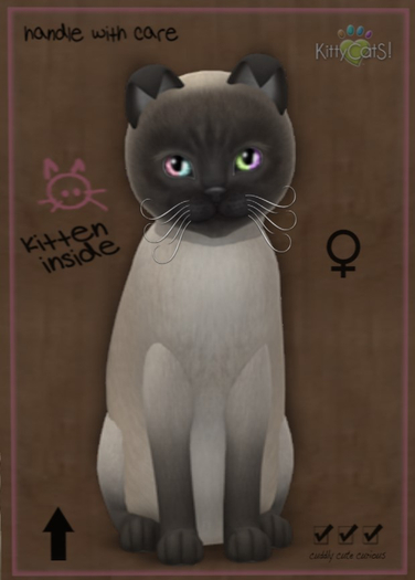 KittyCatS Box - 5T Tonk Blue F Dbl Love Dream