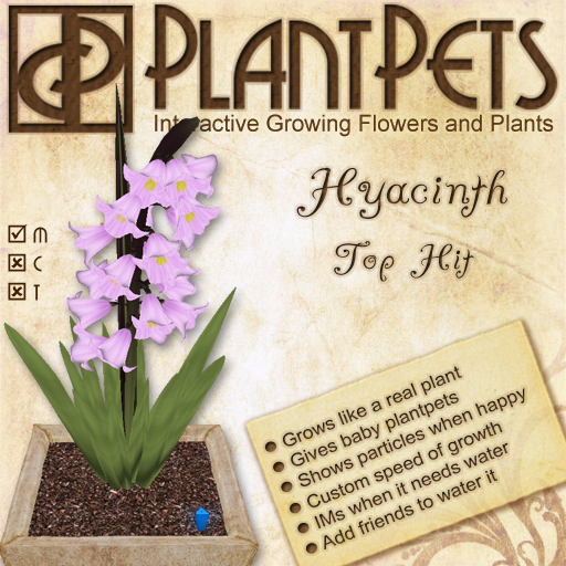 PlantPet Seed [Hyacinth *Top Hit*]