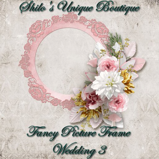 Fancy Wedding FRAME 3