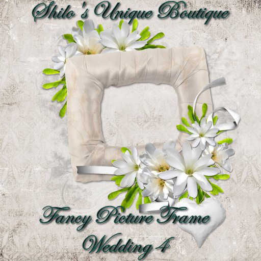 Fancy Wedding FRAME 4