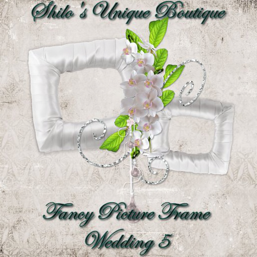 Fancy Wedding FRAME 5