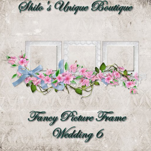 Fancy Wedding FRAME 6