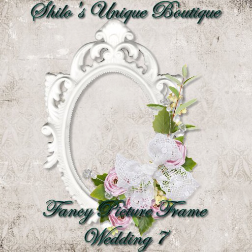 Fancy Wedding FRAME 7