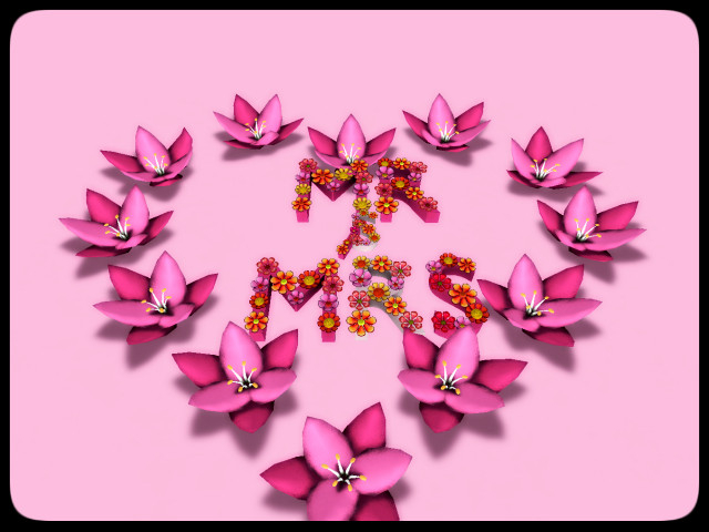 [AE] Weddings - MR & MRS Flower Decor