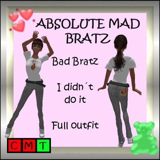I didn't do it