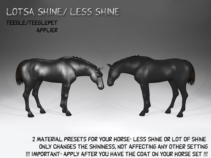 Gift! ME_Lotsa Shine