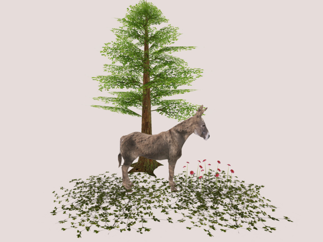 Donkey