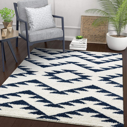 Carpet Rug