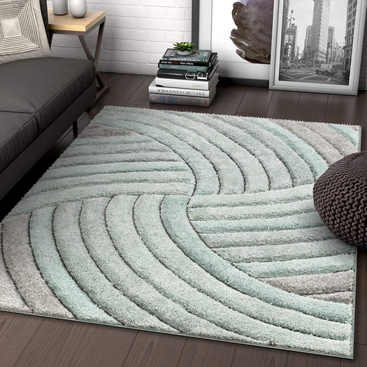 Carpet Rug