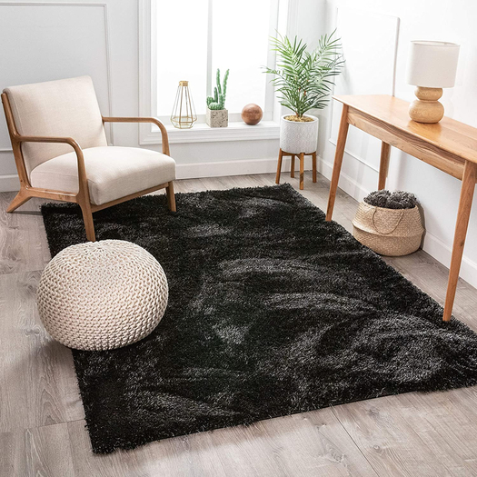 Carpet Rug