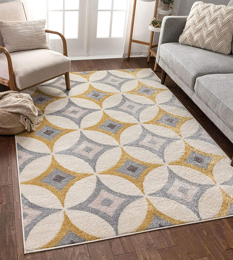 Carpet Rug