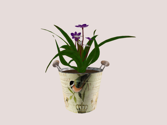 Bucket with Mesh plant Purple