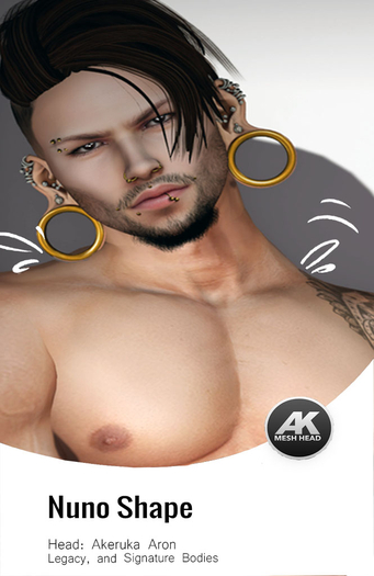 [Versatile] Nuno Shape [Signature Body] [AK Aron Bento Head]