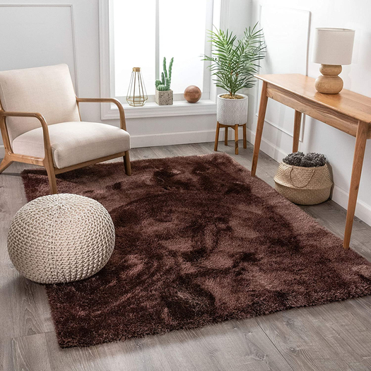 Carpet Rug