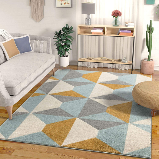 Carpet Rug