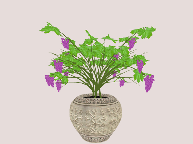 pot with Grapes