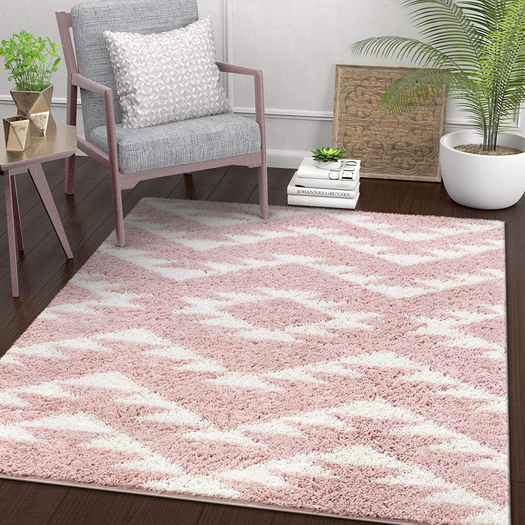 Carpet Rug
