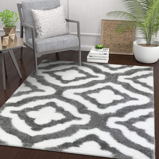Carpet Rug