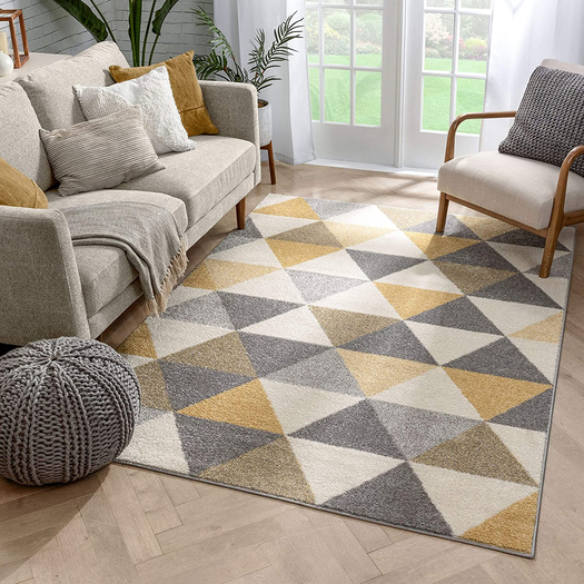 Carpet Rug
