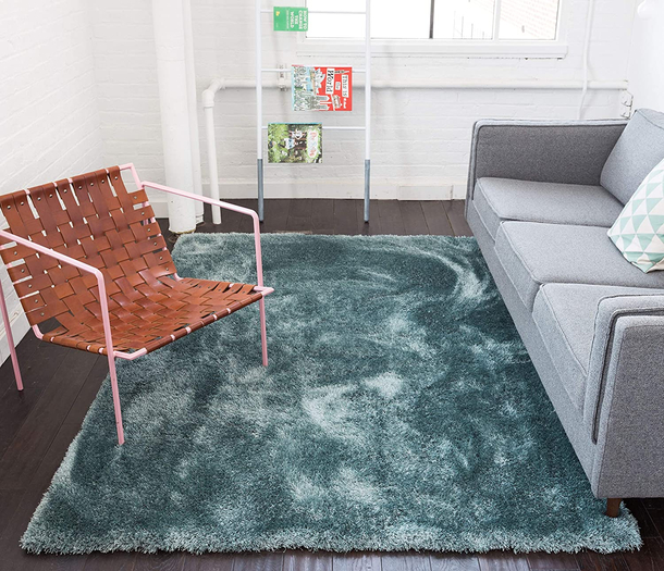 Carpet Rug