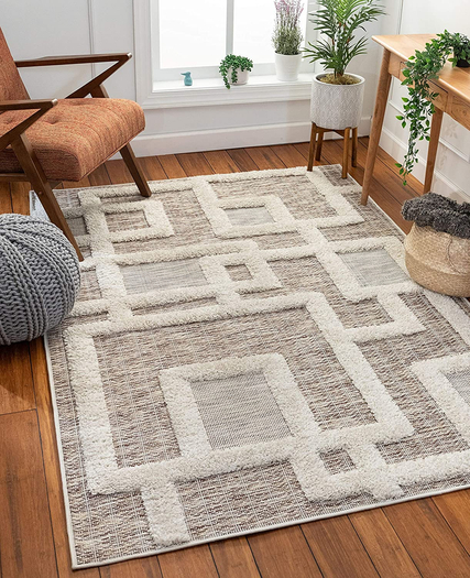 Carpet Rug