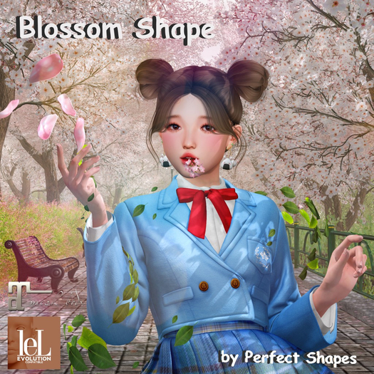 *PS* - Blossom Shape - For Lelutka Evo X Head + Maitreya Body