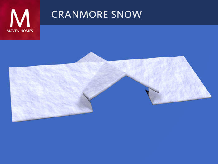 The Cranmore Snow Cover