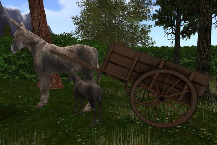 Esel mit Karre MP