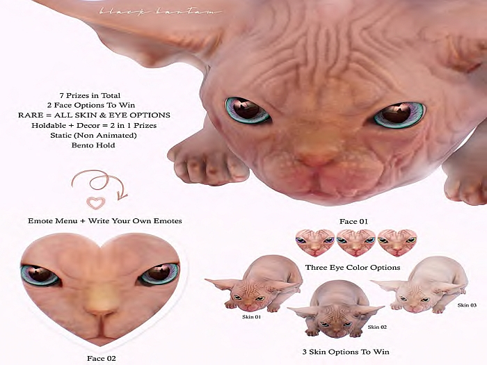*[BB] Crouching Sphynx Kitten ALL RARE