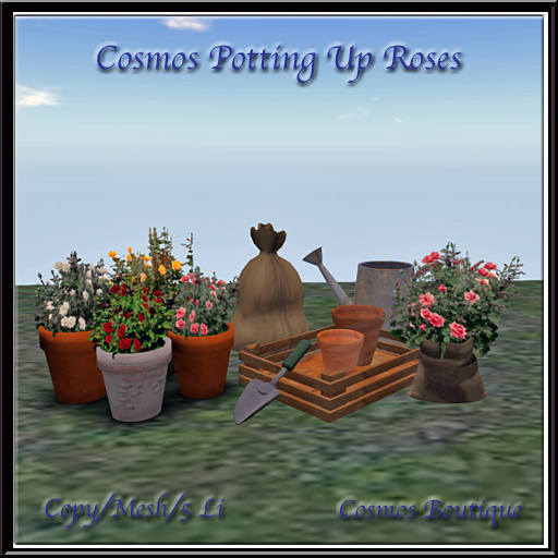 Cosmos Potting Up Roses MESH (BOX)