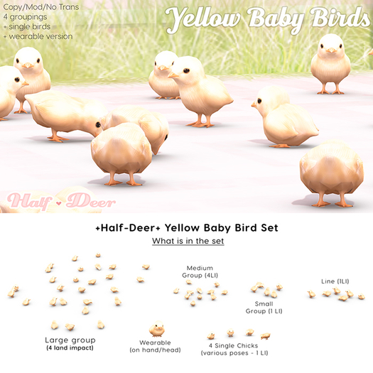 Chicks - Yellow Baby Birds +Half-Deer+