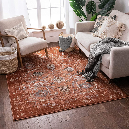 Carpet Rug