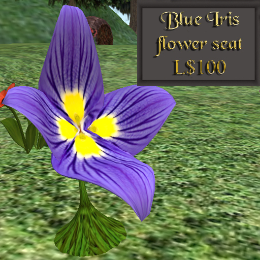 Blue Iris double petal Flower seat