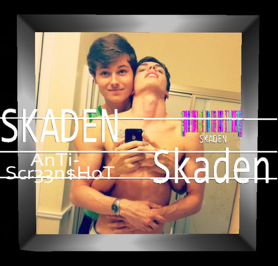 Skaden 617