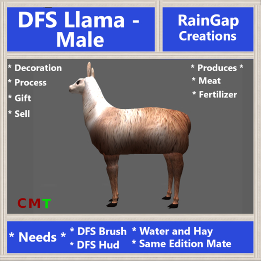 DFS Llama - Male (0 Days Old) ACTUAL ITEM