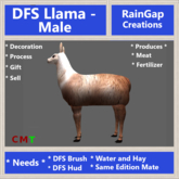 DFS Llama - Male (0 Days Old) ACTUAL ITEM