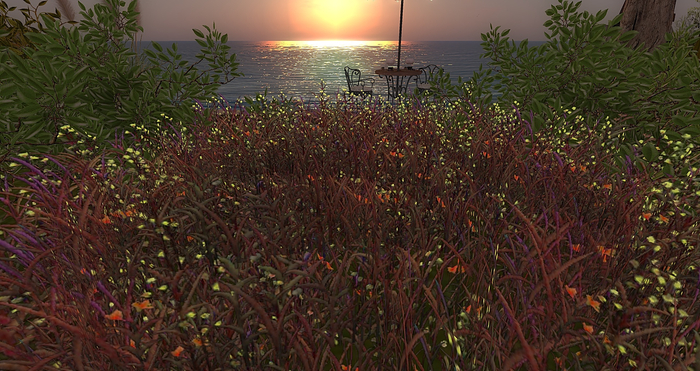 CJ Meadow Wild Grass & Flower Patch 12in1 Menu