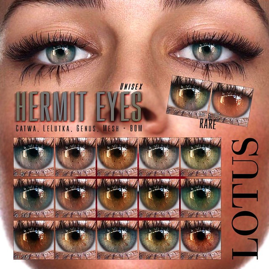 LOTUS. Hermit Eyes 15 - L & R Bom